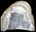 Dugway Geode Bookends - Sparking Crystals #45936-1